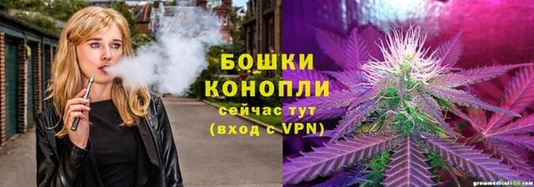 твердый Осташков